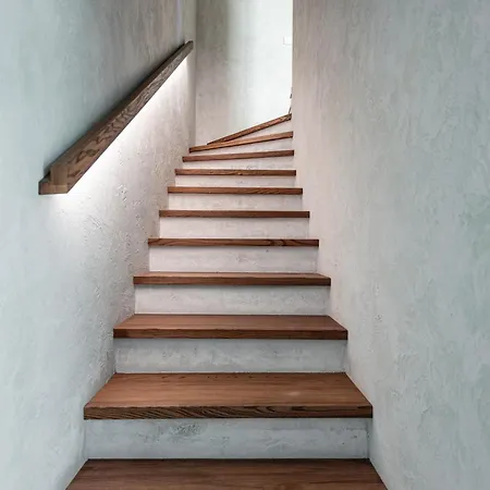 Vilma - Kunigiskes Palanga