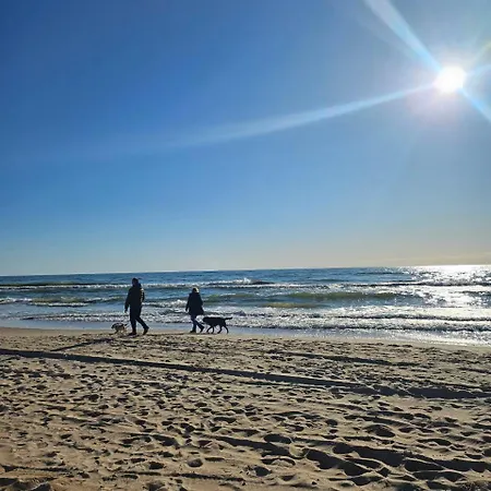 Vilma - Kunigiskes Palanga