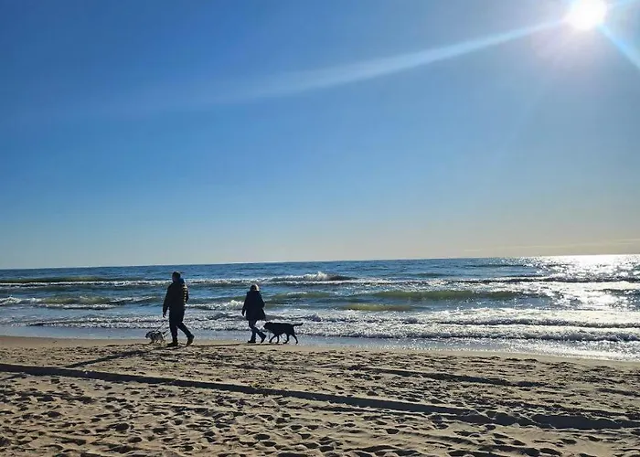 Vilma - Kunigiskes Palanga